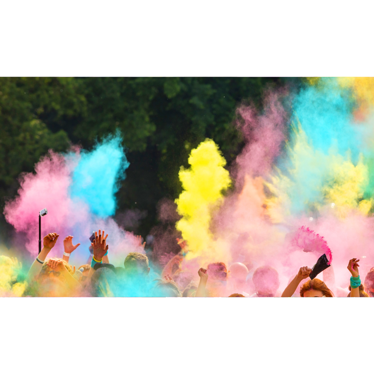 Colored Powder for Color Run, Gender Reveal (12) 70 Grams Packets, Color Run P