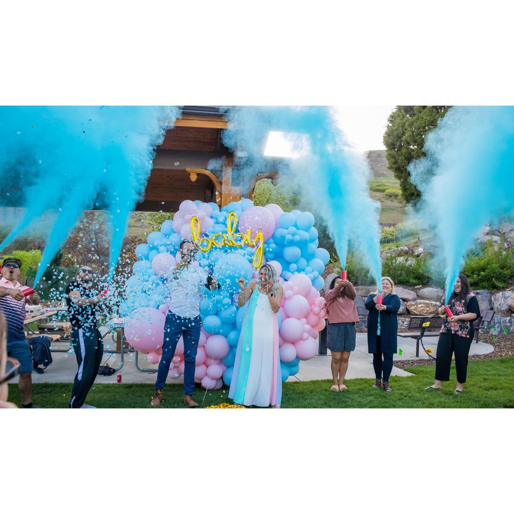 Gender Reveal Supplies - Chameleon Colors