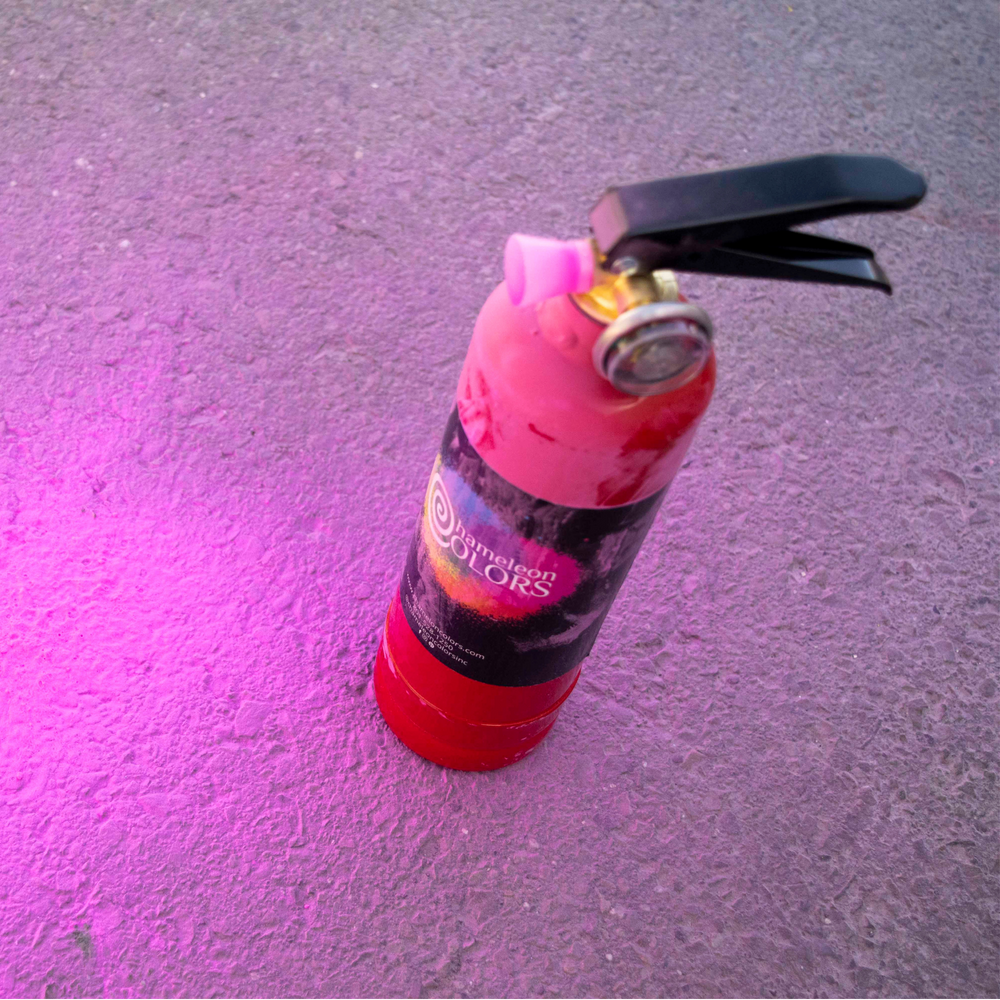 Previvo Gender Reveal Fire Extinguisher Set - 2 Pcs Pink Gender Reveal –  previvoparty supply