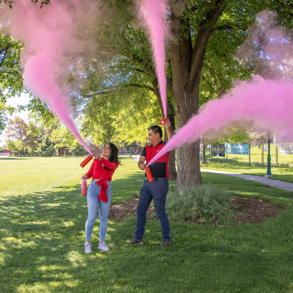 Gender Reveal Spray Fire Extinguisher Powder Cannon Blaster Boy or Girl  Babyshower Babypart