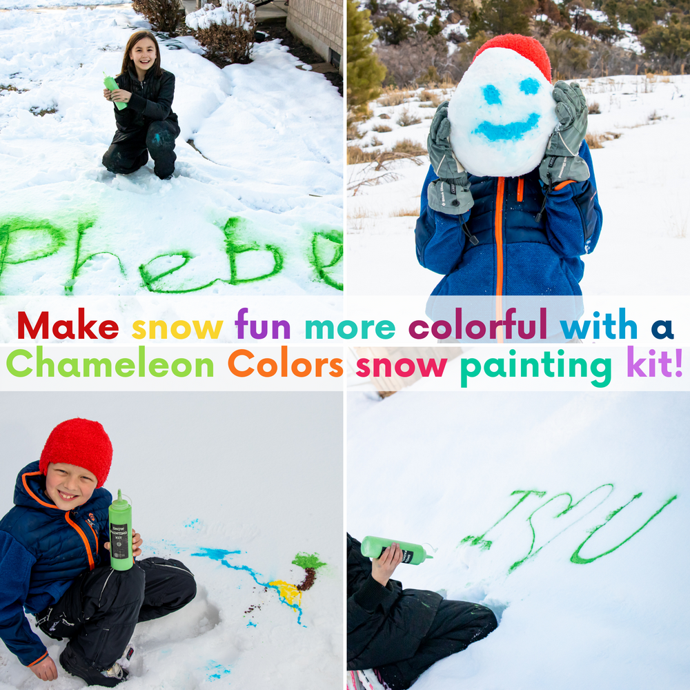 Chameleon Colors Snow Painting Kit