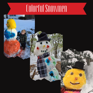 
            
                Load image into Gallery viewer, Chameleon Colors Snowman Kit
            
        