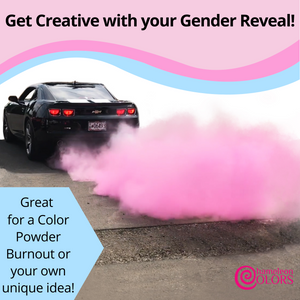 Chameleon Colors gender reveal pink and blue color powder
