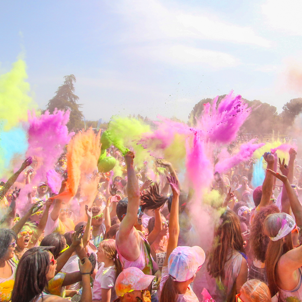 Holi Color Powder Festivals Celebrations Parties 6 Colors Set Available, Holi  Powder Colored 6 X 3.52 Ounces(100 Grams) Bags
