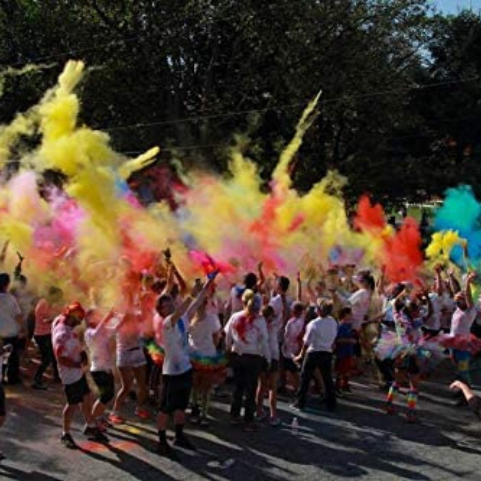 Holi Color Powder 100 Gram Bag - Wholesale - Chameleon Colors